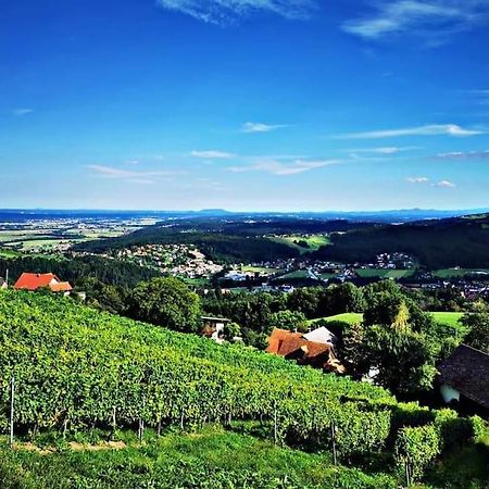 Wiednermichl - Urlaub In Den Weinbergen Krottendorf bei Ligist Buitenkant foto