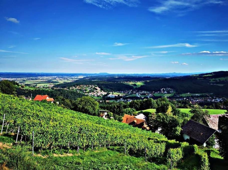 Wiednermichl - Urlaub In Den Weinbergen Krottendorf bei Ligist Buitenkant foto